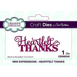 Creative Expressions Craft Dies By Sue Wilson-Mini ExpressionsHeartfelt Thanks -CEDME045