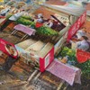 Puzzle 1000 Pieces: Place Saint Marc Venise