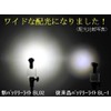 YSD(ワイエスディー) LED バッテリーライト BL02K ブラック