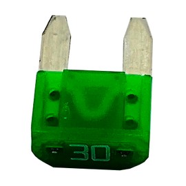 Polaris GEM Main Fuse, 30 Amp, Genuine OEM Part 2434015, Qty 1