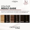 L’Oréal Paris Ammonia Free Permanent Hair Dye, 1U Universal Black,