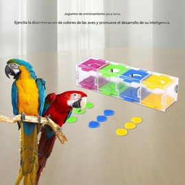 Colourful Parrot Toy Parrot Training Interesting Bird Intelligence Training Toy for Parakeet Cockatiel Conure Lovebird Fink Canary Budgie African Grey Coatoo