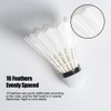 ALPSPORT 808 12 Pack White Goose Feather Badminton Shuttlecocks Birdies,