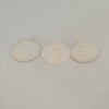 Scallop Shells Sea Shells Decoration, for Baking Shells, Vase Fillers,