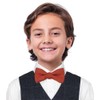 BELLUNO Rust Color Bow Tie Pre-Tied for Little Boys, Cotton