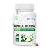Ginkgo Biloba 6000 mg – 90 vegane Tabletten – Lutein-freier 50:1