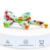 CSSPET Cute Dinosaur Cat Bow Tie Collar, Green Cat Collar,