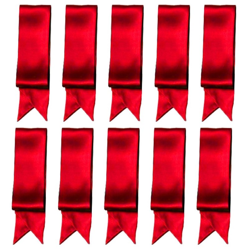 10 Pcs Long Thin Small Skinny Scarf Satin Neck Tie