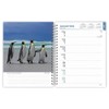 BrownTrout, Beaches 2025 Planner