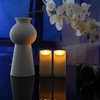 EZiGarden 2 Pack LED Flameless Candles with Remote Battery Operated