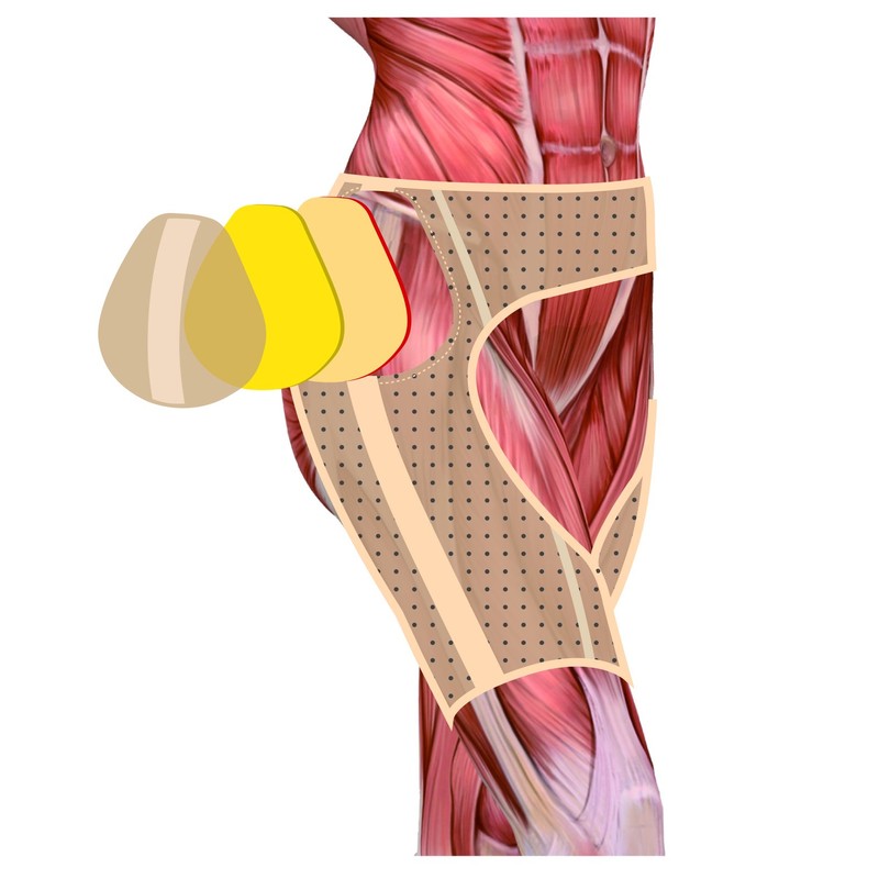 Tight Hip Belt for Both Legs, Hip Joint Support, Unisex,