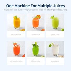 Joydeem Compact Masticating Juicer Machines, 400ml(14oz) Cold Press Slow Filter Free Juicer, JD-YZ9901