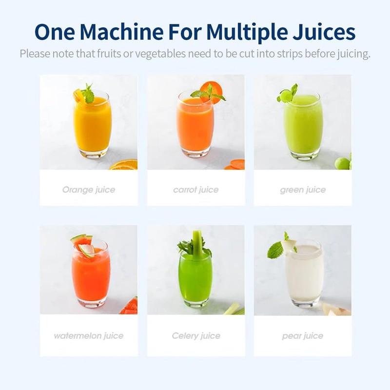 Joydeem Compact Masticating Juicer Machines, 400ml(14oz) Cold Press Slow Filter