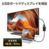 Sanwa Supply USB to 3TCH35BK HDMI Converter Adapter with USB