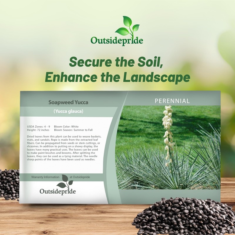 Outsidepride Soapweed Glauca Yucca Seeds for Planting - 100 Pcs