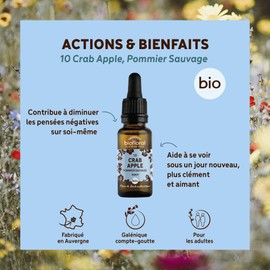Bioflor – 10 Crab Apple, Wildapfel Bio Demeter – Hoffnung – authentische Bachblüte – Tropfflasche 20 ml