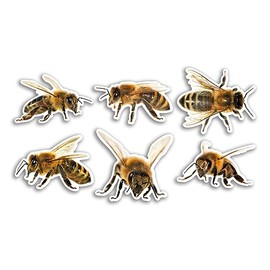 6 x 10cm Bee Vinyl Stickers - Bumble Insects Animal Funny Pattern Nature Pets Face Wild Girls Boys Travel Scrapbooking #80784