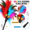 5-Piece Cat Feather Wand Toy Set for Interactive Play –