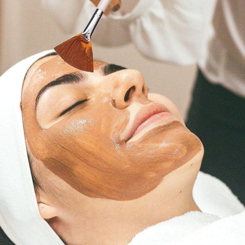 SAVITA 4Pcs Face Mask Brushes Fan Brushes Soft Facial Brushes