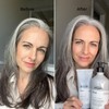 L'Oréal Professionnel Paris Champú Neutralizador Para pelo gris, blanco o