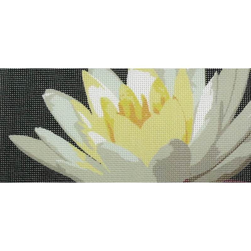 Pepita Needlepoint Canvas: Water Lily, 12" x 9"