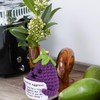 XIHIRCD Positive Aubergine, 8 cm Knitted Vegetables with Positive Card,
