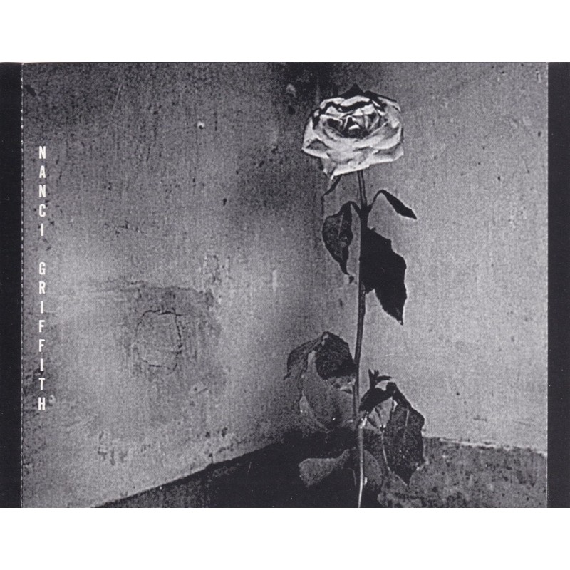 Blue Roses From the Moons