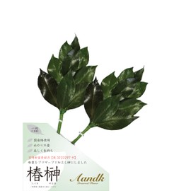 "A&K" Sacred Treasure, Shinto Shelf, Mini S, Sakaki, Preserved Sakaki (Made with Camellia Leaves), Utility Model Registration No. 3222297> Domestically Made Handmade, Handmade, Non-Withering, Camellia, Sakaki, One Pair of Sakaki, No Watering, No Watering