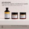 Davines Nourishing Hair Building Pak Tratamiento Intensivo Reparador 250