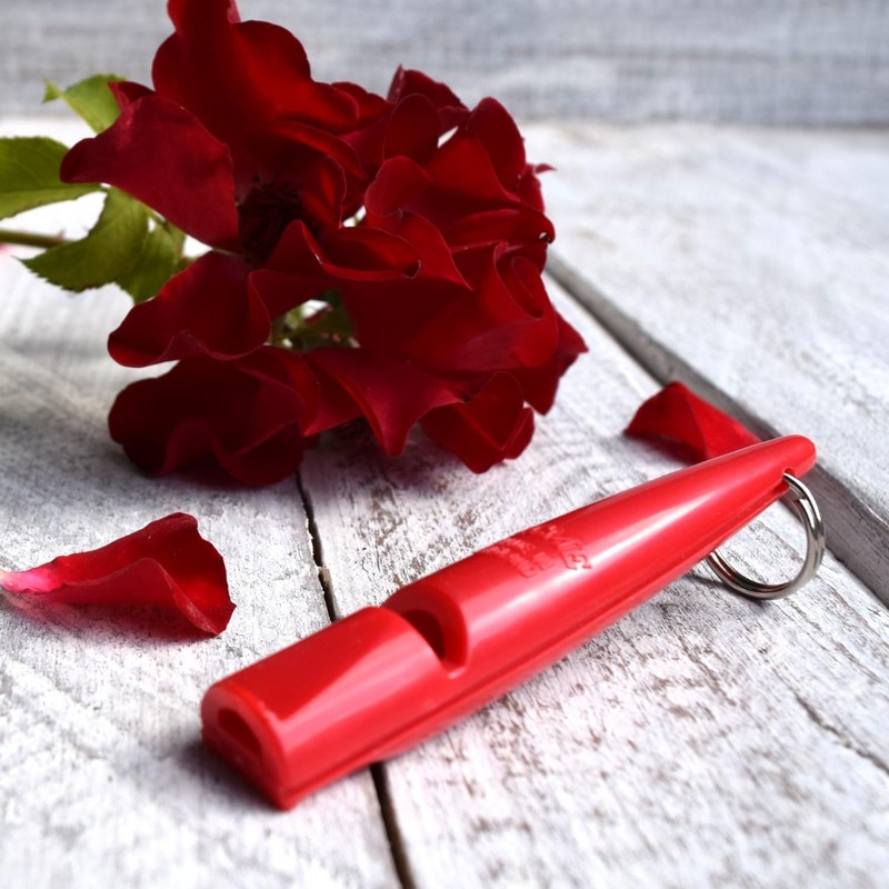 ACME Dog Whistle No. 210.5 with Instructions - The Original