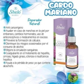 2pz Extracto Cardo Mariano Depurador Alcachofa Hinojo Shelo