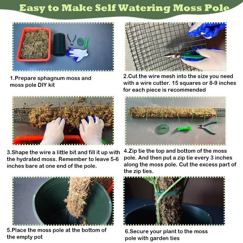 Moss Pole DIY Kit, 6.6/13.2/26.4ft Metal Moss Pole for Plants