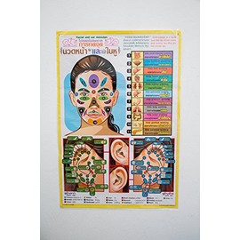 WitnyStore 31½" Thai Facial and Ear Massage Reflexology Points Poster Manual Therapy Technique Colored Illustrations Training Teaching Reference Laminated Premium Paper Print Thailand Souvenir Posters