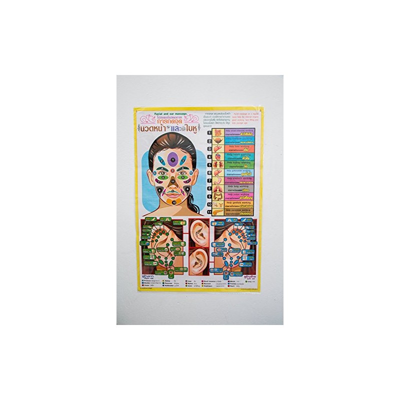 WitnyStore 31½" Thai Facial and Ear Massage Reflexology Points Poster