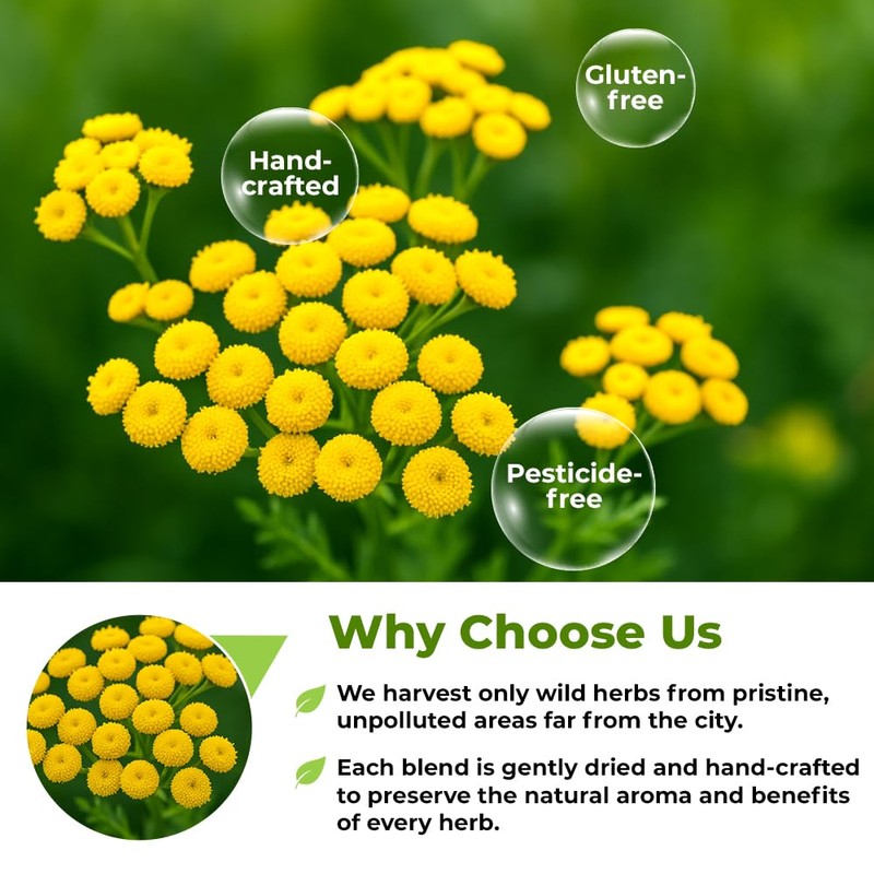 3 oz. Dried Tansy Flowers Herb Tea (Tanacetum Vulgare L.)