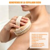 Cepillo Exfoliante Corporal con Cerdas Naturales