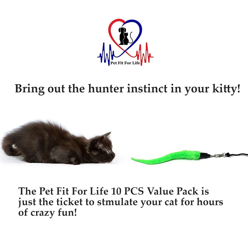 Pet Fit For Life 10 PC Squiggly Worm Furry Mouse