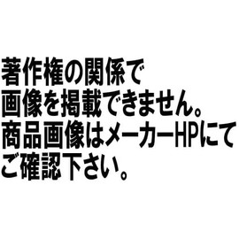 JoJo's Bizarre Adventure Stardust Crusaders Mometria Jotaro Kujo Figure