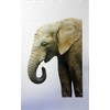 Half a Donkey The Traditional Elephant Large Cotton Tea Towel