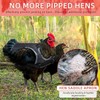 Chicken Saddles for hens, Chicken Apron Back Protector for Hens