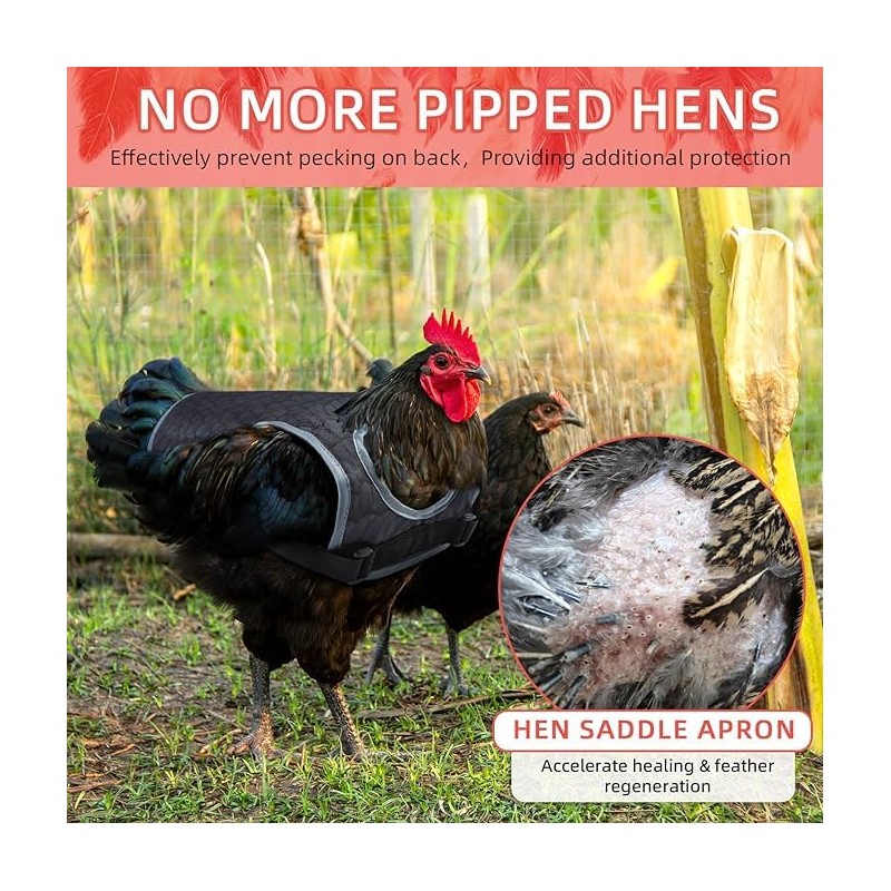 Chicken Saddles for hens, Chicken Apron Back Protector for Hens