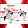T-bar Row Platform with Chain Full 360°Swivel Eyelet Landmine Attachment