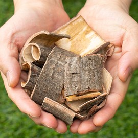 See detailed explanation Domestic Sancheong bark bark 200g Sancheong bark tea herbal dried dried domestic product / 국산 산청목피 벌나무껍질 200g 산청피 차 한방 말린 건조 국내산