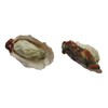 Speed Mao Oyster Food Model Food Sample Set of 5