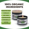 Bug Stuff All-Natural Outdoor Citronella Candle, 100% Organic Bug Candle