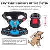 PoyPet No Pull Dog Harness with Neck Release Buckle, Reflective