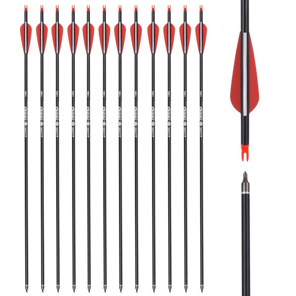 Carbon Arrow Hunting Arrows with 100 Grain Removable Tips for Archery Compound & Recurve & Traditional Bow Practice Shooting (Pack of 12)