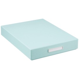 TAKEMEKI Kids Box, Tool Box, Inner Dimensions 8.8 x 11.7 x Height 2.0 inches (223 x 298 x 50 mm), Pastel Blue/Penguin, Storage Box, A4, Perfect Size