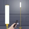 Nukanu Floor Lamp with Remote Control,Bright Floor Lamps for Living