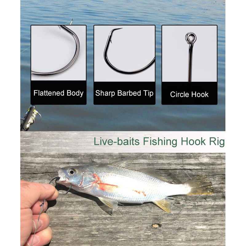 Uxwuy Circle Hook Rigs 50 Pack (5/0, 50 Pack)